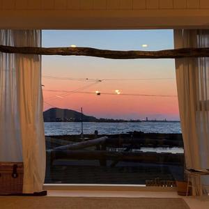 欧美xxxx少妇人与动物人畜共患病与动物交配
